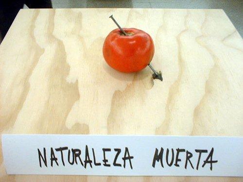 Foto Naturaleza Muerta